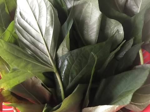 Daun ubi jalar pedas belacan recipe step 3 photo