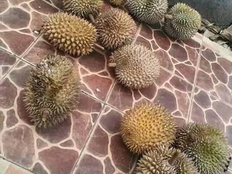 Es Jelly Durian recipe step 8 photo