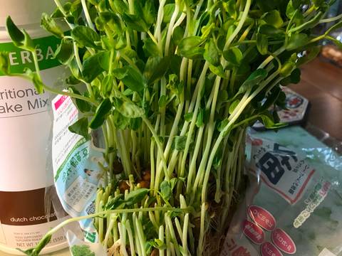 Keladi, romaine lettuce, bean sprouts recipe step 4 photo