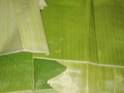 Botok tanpa lamtoro recipe step 1 photo