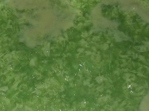 Puding Lumut Insiden #kamismanis #bikinramadanberkesan #9