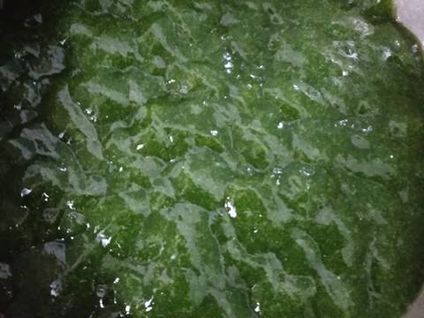 Dawet Cincau Hijau recipe step 3 photo