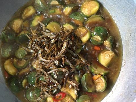 Oseng2 terong lalap teri recipe step 3 photo