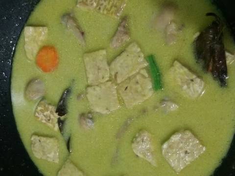 Opor ayam sayuran recipe step 4 photo