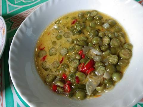 Santan campuka(leunca) recipe step 4 photo