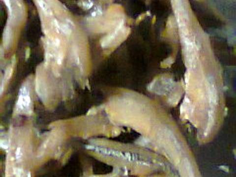 Tumis tempe & rimbang masak pedas recipe step 6 photo