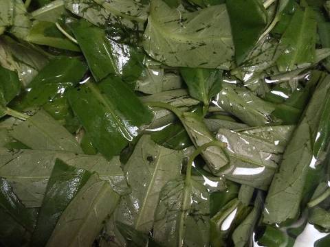 Tumis kangkung cepat dan seger, murah lagi