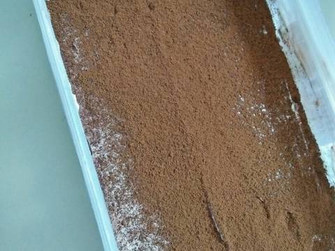 Tiramisu Sandwich