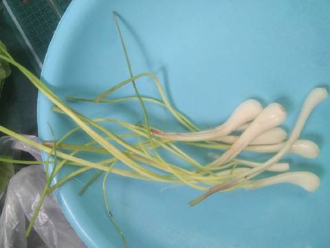 Ikan baung sale sambal kincung #terimakasihguru #gurukuidolaku recipe step 4 photo