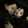 Lilies88 Lilies88