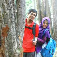 Arum Wijayanti Arum Wijayanti
