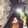 Evi Nur M. Evi Nur M.