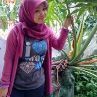 Fina Panduwisata Fina Panduwisata