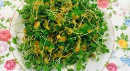 Hình ảnh món Salat rau mầm nhà trồng
