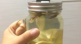 Hình ảnh món Detox cho mùa hè