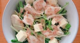 Hình ảnh món Salad Rau Mizuna Nhật