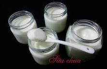 Sữa Chua (Yaourt)