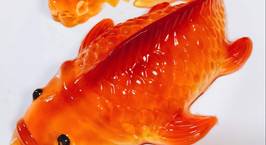 Hình ảnh món Fish jelly (thạch cá)