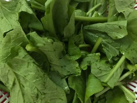 Mì xà o chayð¥¦ð¥ð¶ð¥ð¥¬ bưá»c là m 1 hình