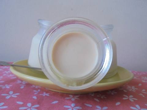 Sữa chua phô mai kem sữa tươi recipe step 6 photo