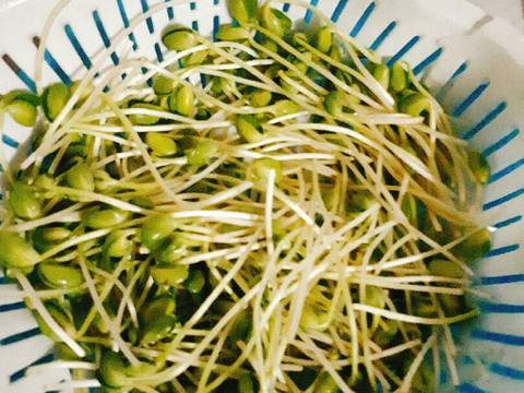 Canh rau mầm đậu nành recipe step 1 photo