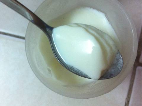 Sữa chua làm từ sữa bột công thức recipe step 4 photo