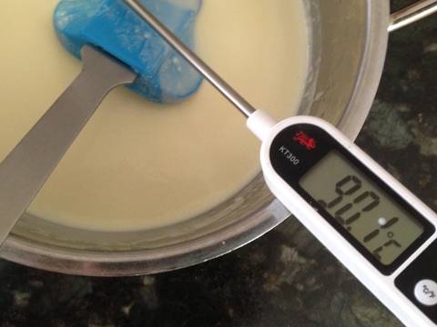 Homemade Cream Cheese recipe step 1 photo