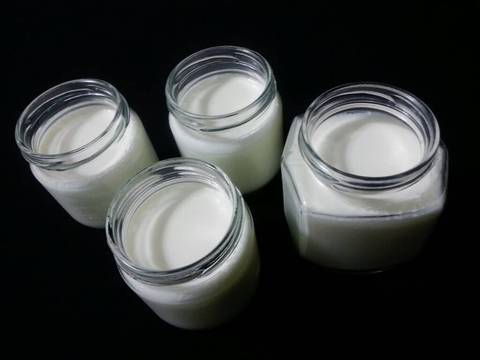 Sữa Chua (Yaourt) recipe step 5 photo