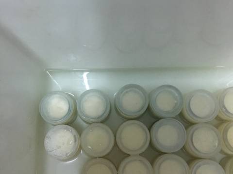 Yoghurt 😍Sữa Chua recipe step 2 photo