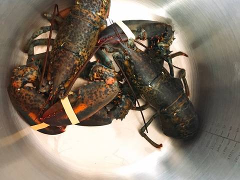 Lobster đút lò phô mai 🦐🧀 recipe step 1 photo