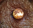 Hình ảnh bước 3 Homemade Nutella (Mứt Sô-Cô-La Hạt Dẻ)