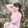 Trang Nhung Trang Nhung