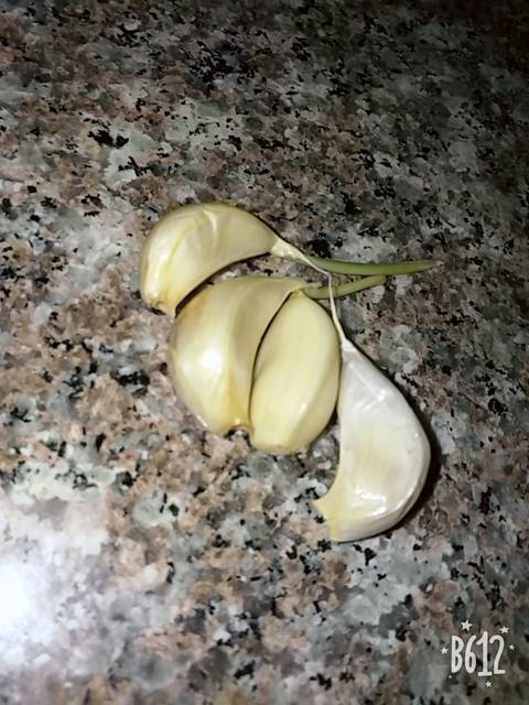 ���� ���� ������ �� ���� ������