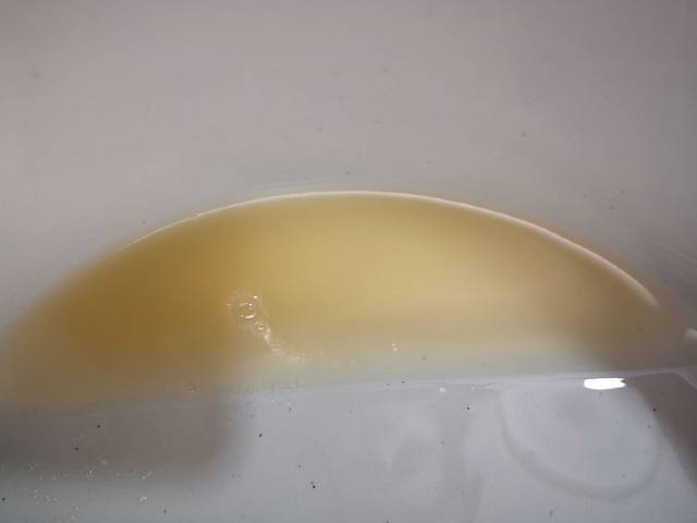 ���� ���� ������ �� ���� ������