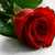 Hoda Kamel Hoda Kamel
