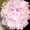 Fatima_alsaffar96 Fatima_alsaffar96