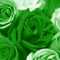 أميرة باخلاقي 💚💚 أميرة باخلاقي 💚💚