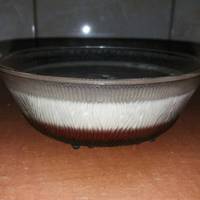 Panna cotta