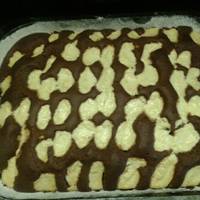 Bocisüti