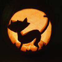Halloween töklámpás készítés