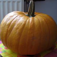 Halloween töklámpás készítés
