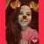 Szabo Dorothy Szabo Dorothy
