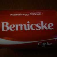 Bernicske Bernicske