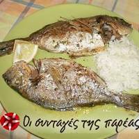 Τσιπούρες σε σχάρα φούρνου