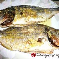 Τσιπούρες σε σχάρα φούρνου