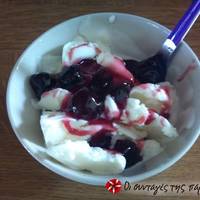 Frozen Yogurt