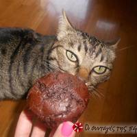 Chocolate Muffins, η original συνταγή