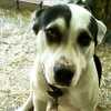 Xara Antonis Xara Antonis