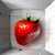 fragola fragola