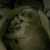 areti@ areti@